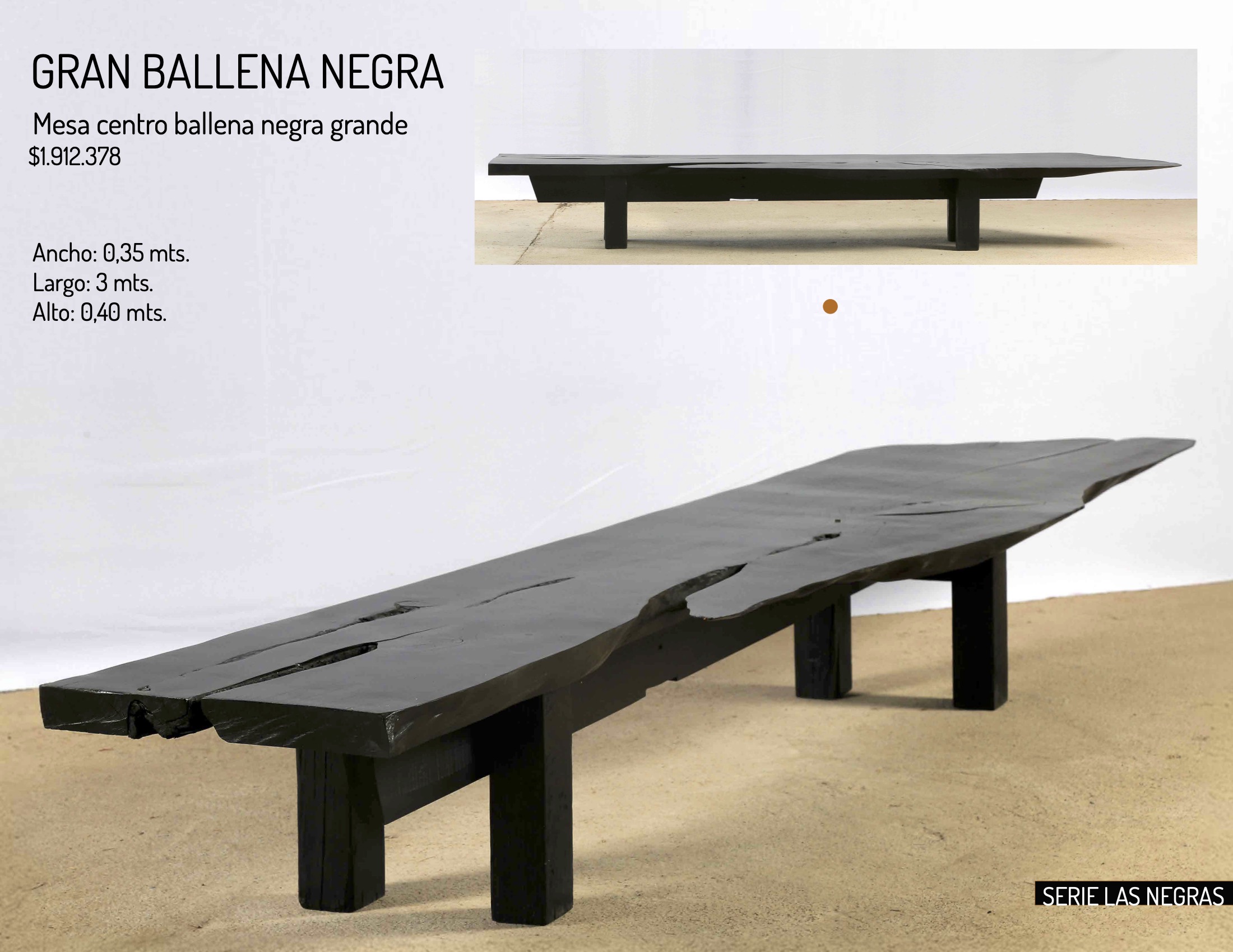 gran ballena negra
